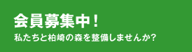 会員募集中！私たちと柏崎の森を整備しませんか？